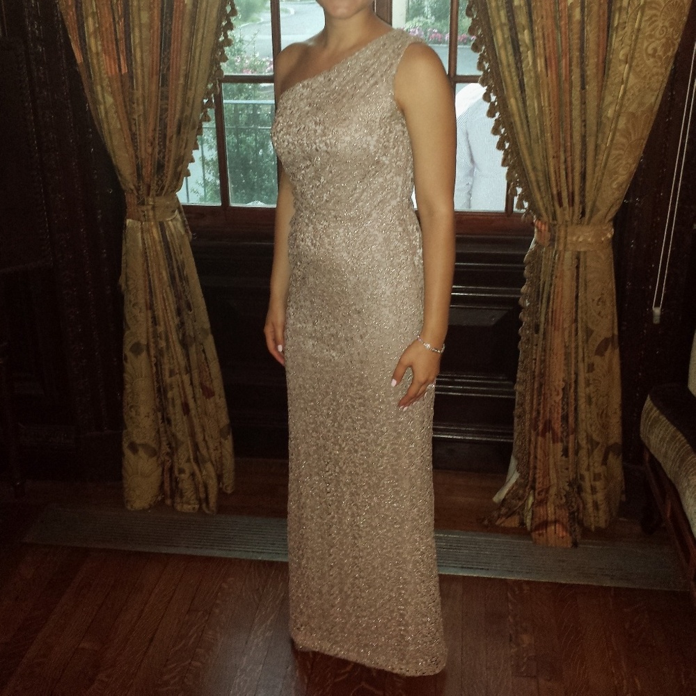 Used once. Mint condition. Lace blush shimmer gown